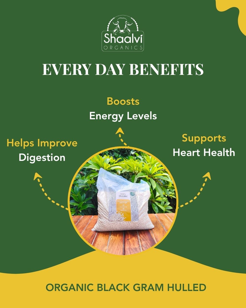 Organic Black Gram Hulled - Udad Daal Dhuli 