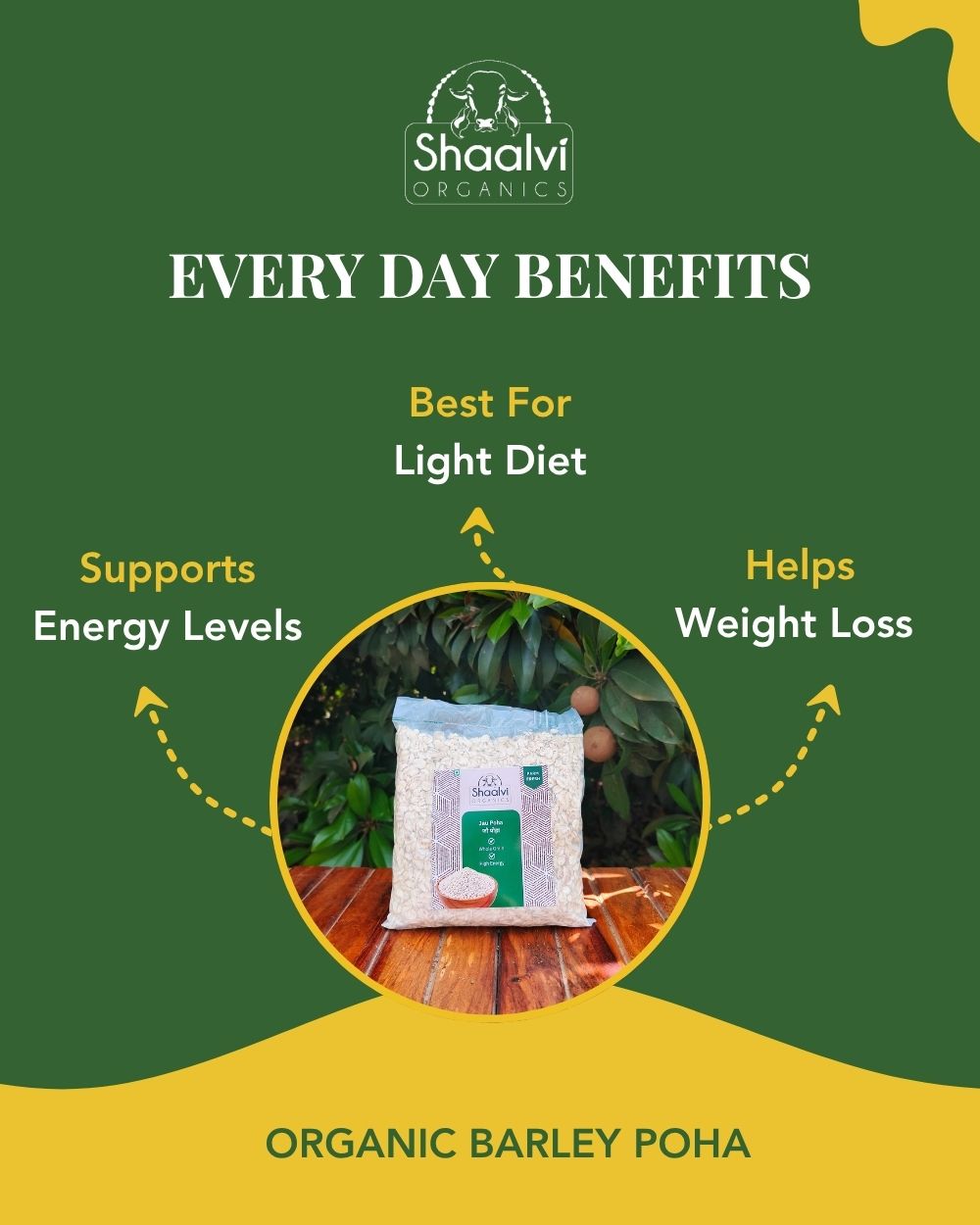 Organic Barley Flakes - Jau Poha