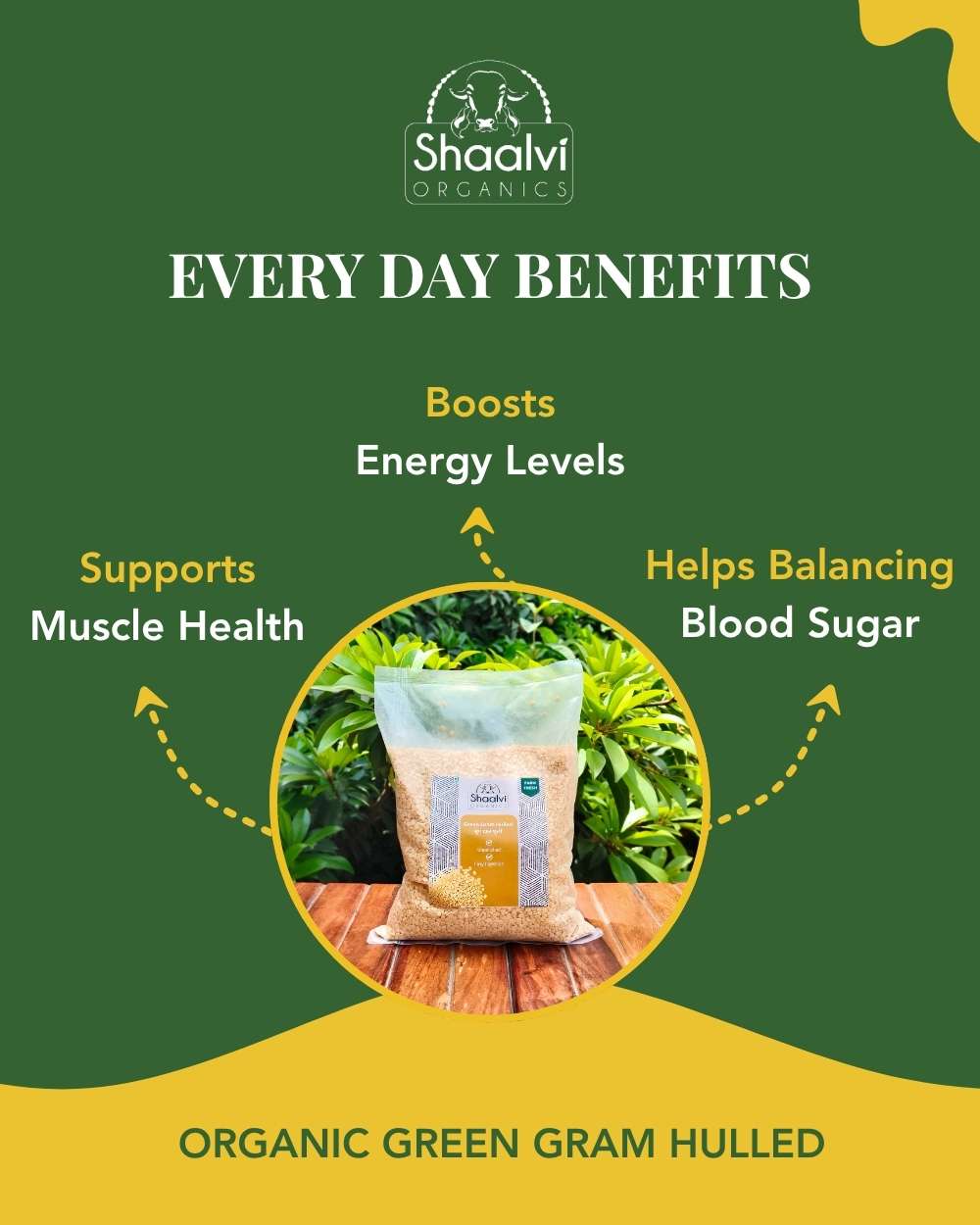 Organic Split Green Gram Hulled - Moong Daal Dhuli