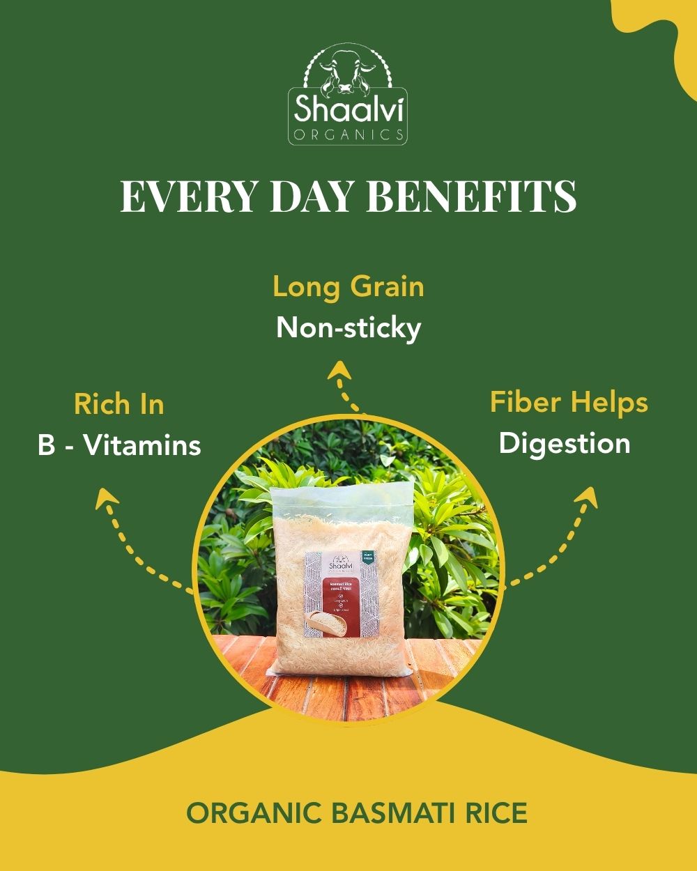 Organic Basmati Rice 