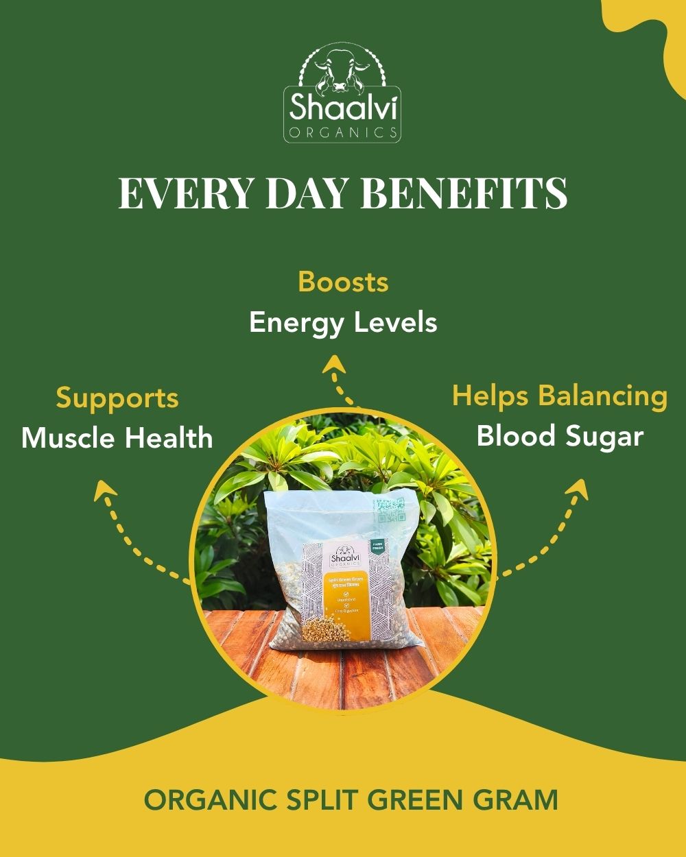 Organic Split Green Gram with Skin - Moong Daal Chhilka