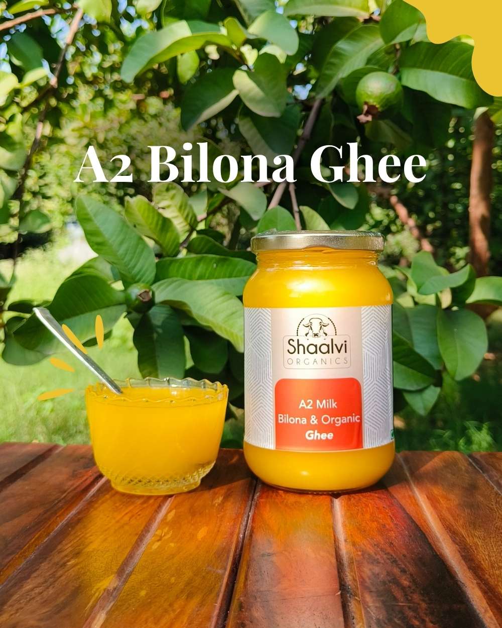 Organic A2 Bilona Ghee - Gir Cow Ghee | Cultured Ghee