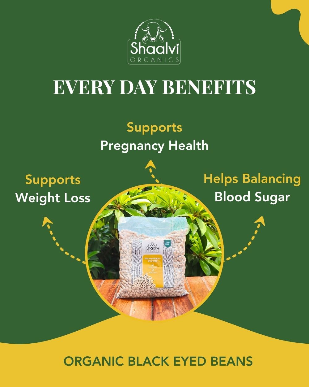 Organic Black Eyed Beans - Chawla Sabut