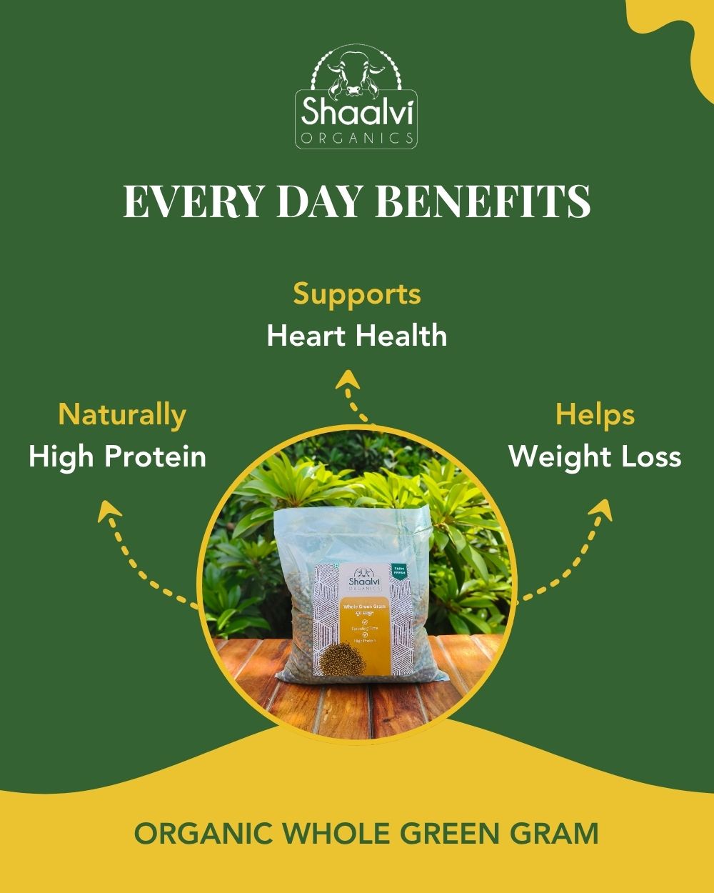 Organic Whole Green Gram - Sabut Moong 