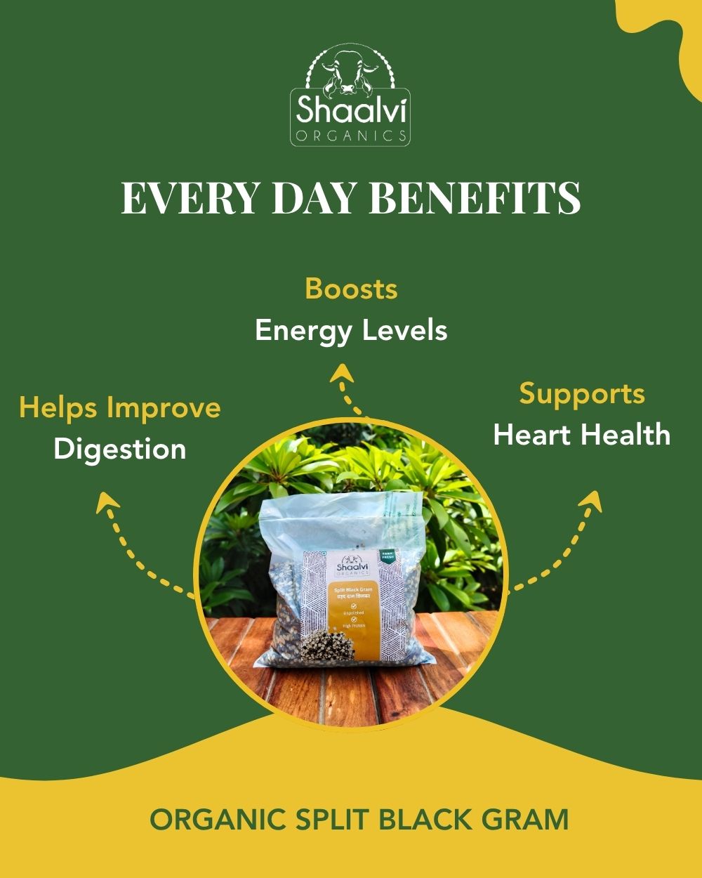 Organic Split Black Gram - Urad Daal Chilka