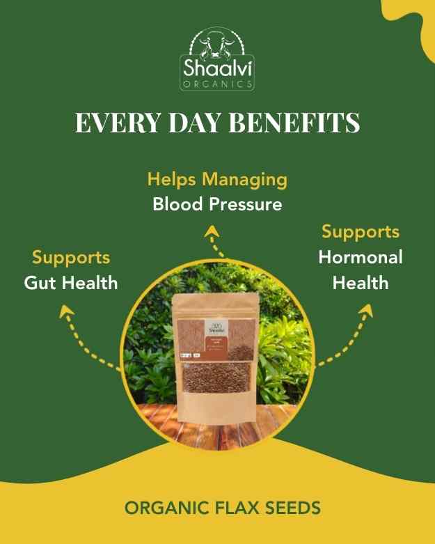 Organic Flax Seeds - Alsi beej
