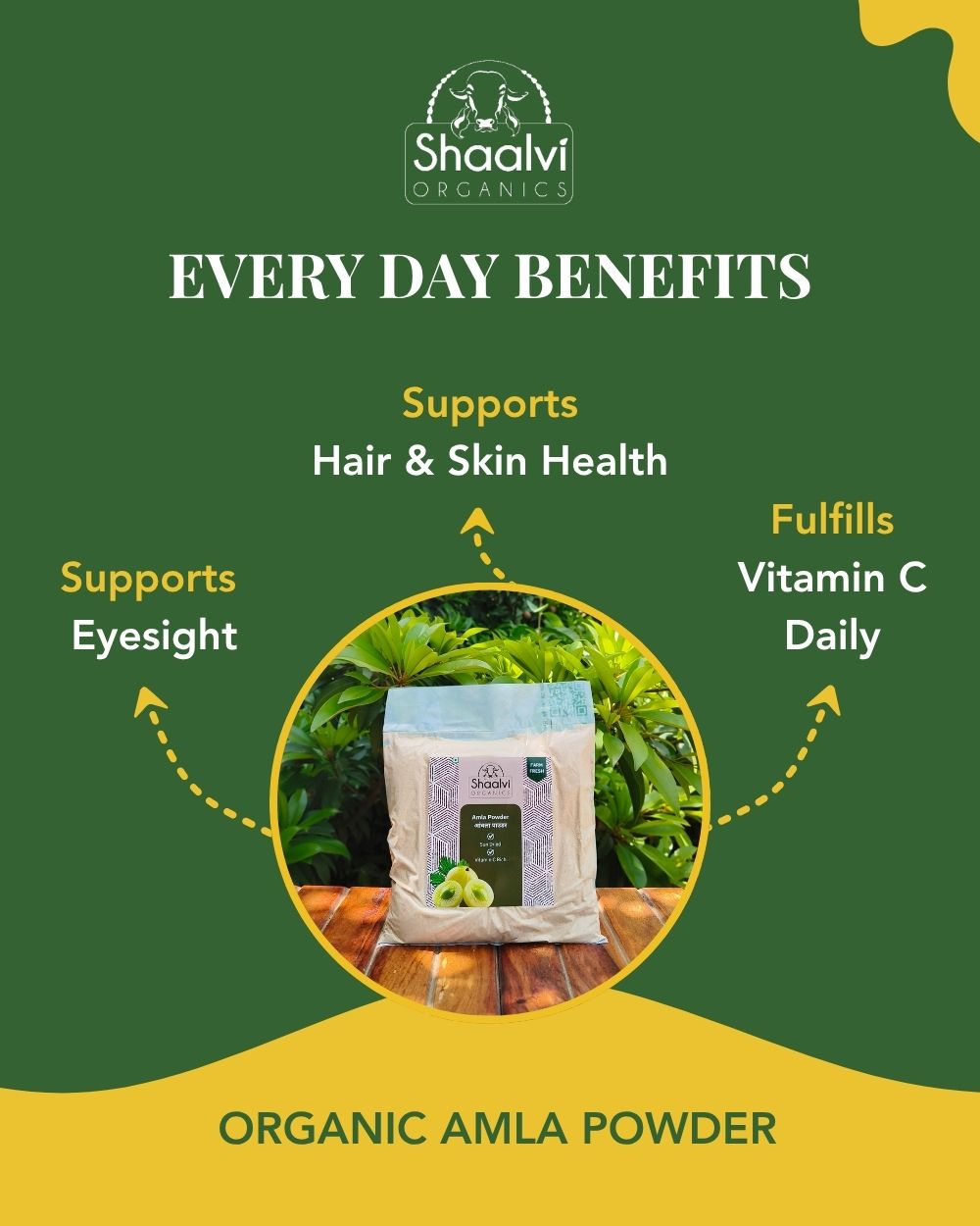 Organic Amla Powder