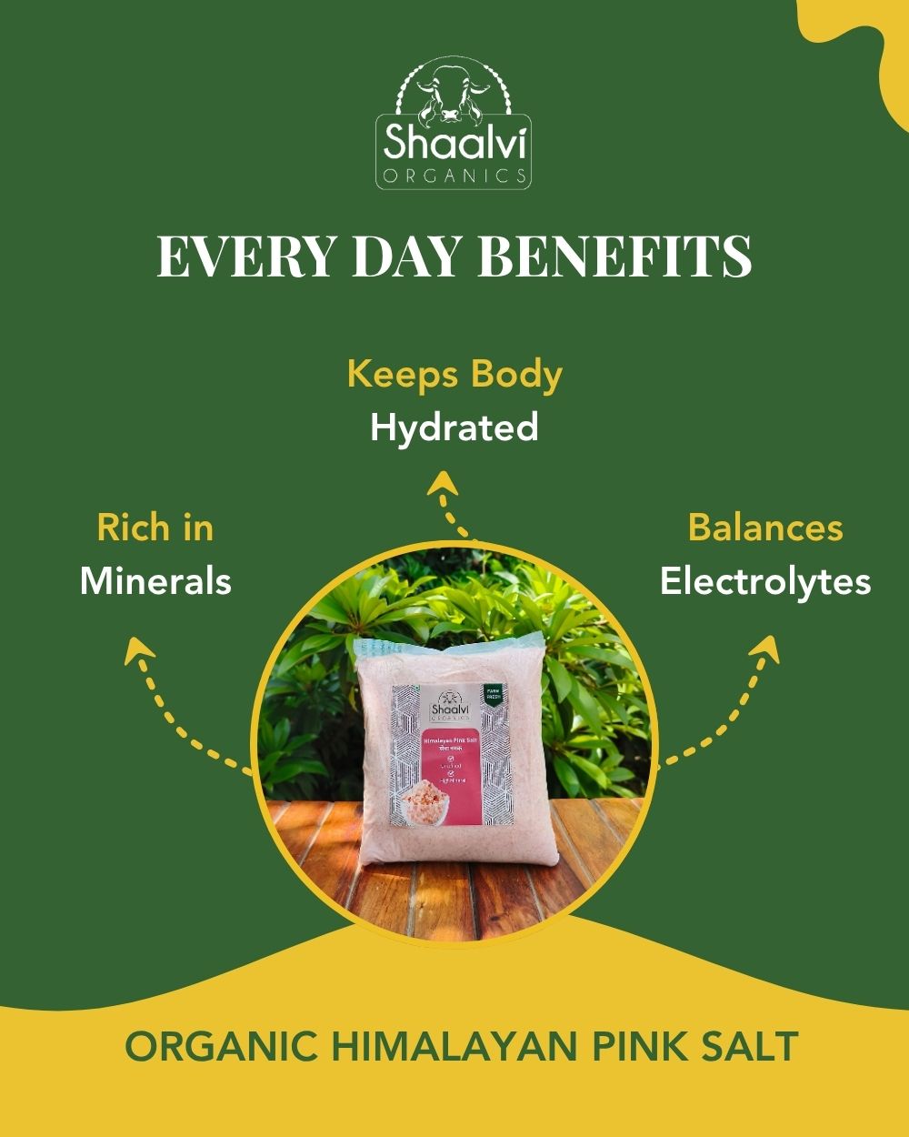 Organic Himalayan Pink Salt - Sendha Namak