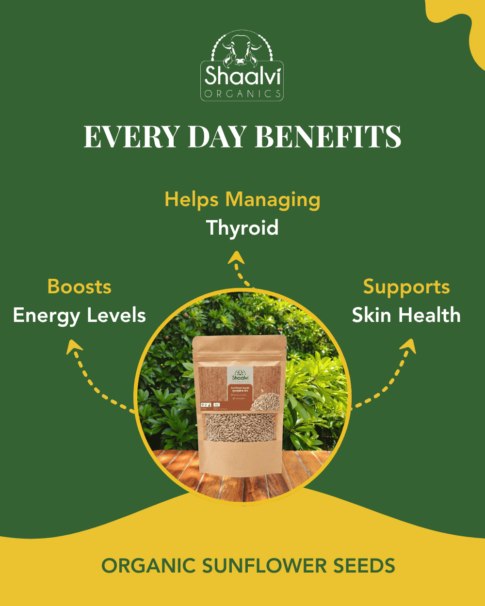 Organic Sunflower Seeds - Surajmukhi Ke Beej