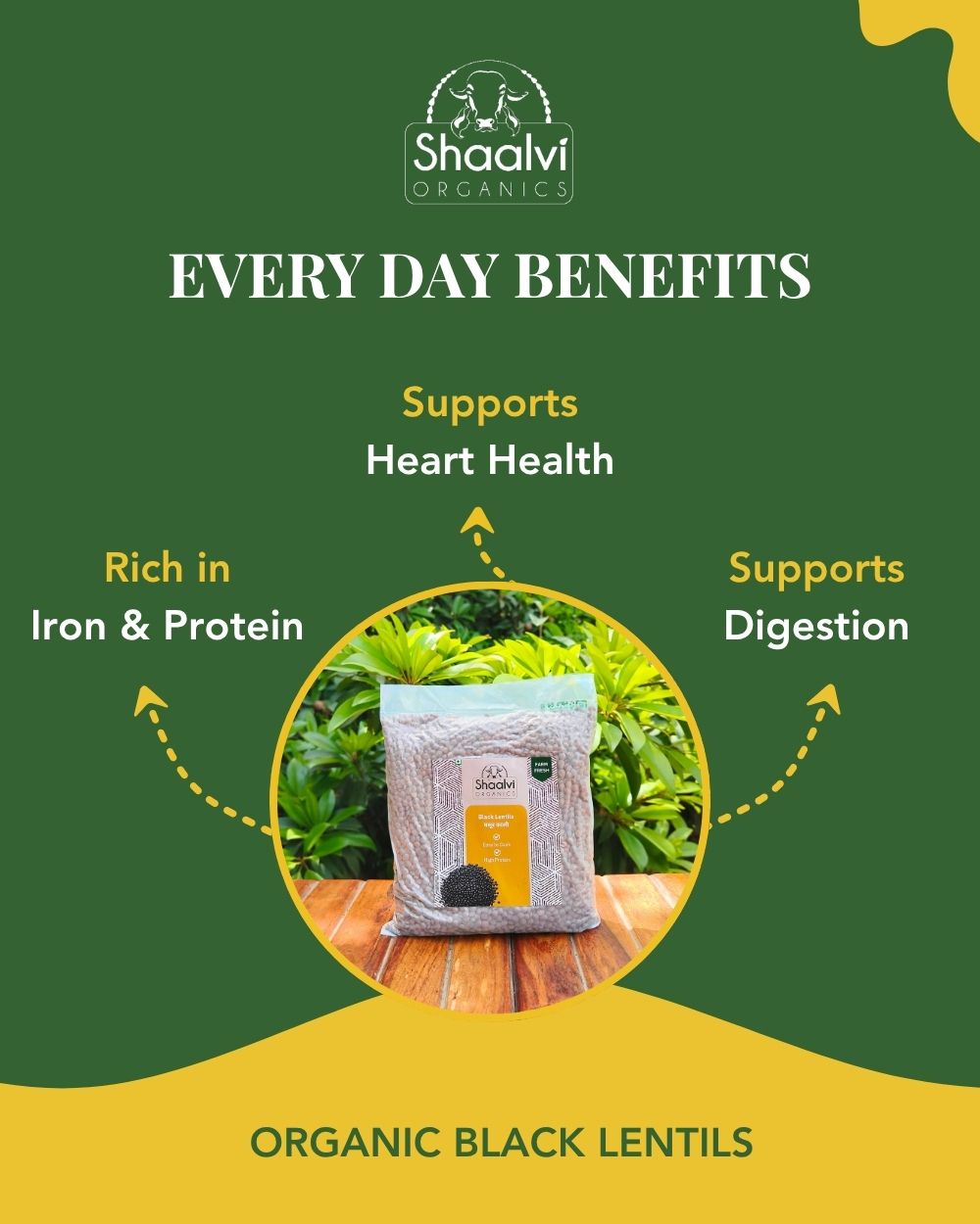 Organic Black Lentils - Masoor Daal kaai